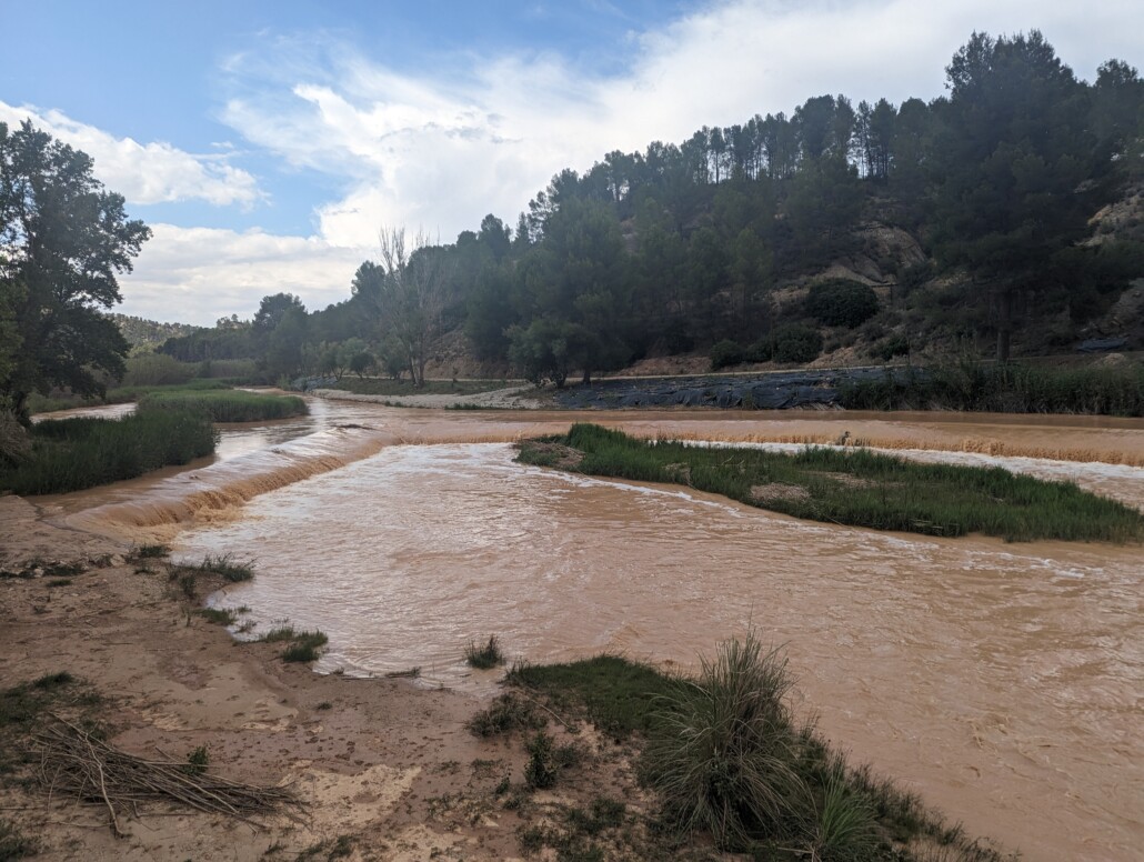 Dieses Bild hat ein leeres Alt-Attribut. Der Dateiname ist PXL_20230604_142715832-1030x776.jpg