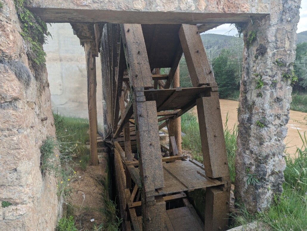 Dieses Bild hat ein leeres Alt-Attribut. Der Dateiname ist PXL_20230604_142845657-1030x776.jpg