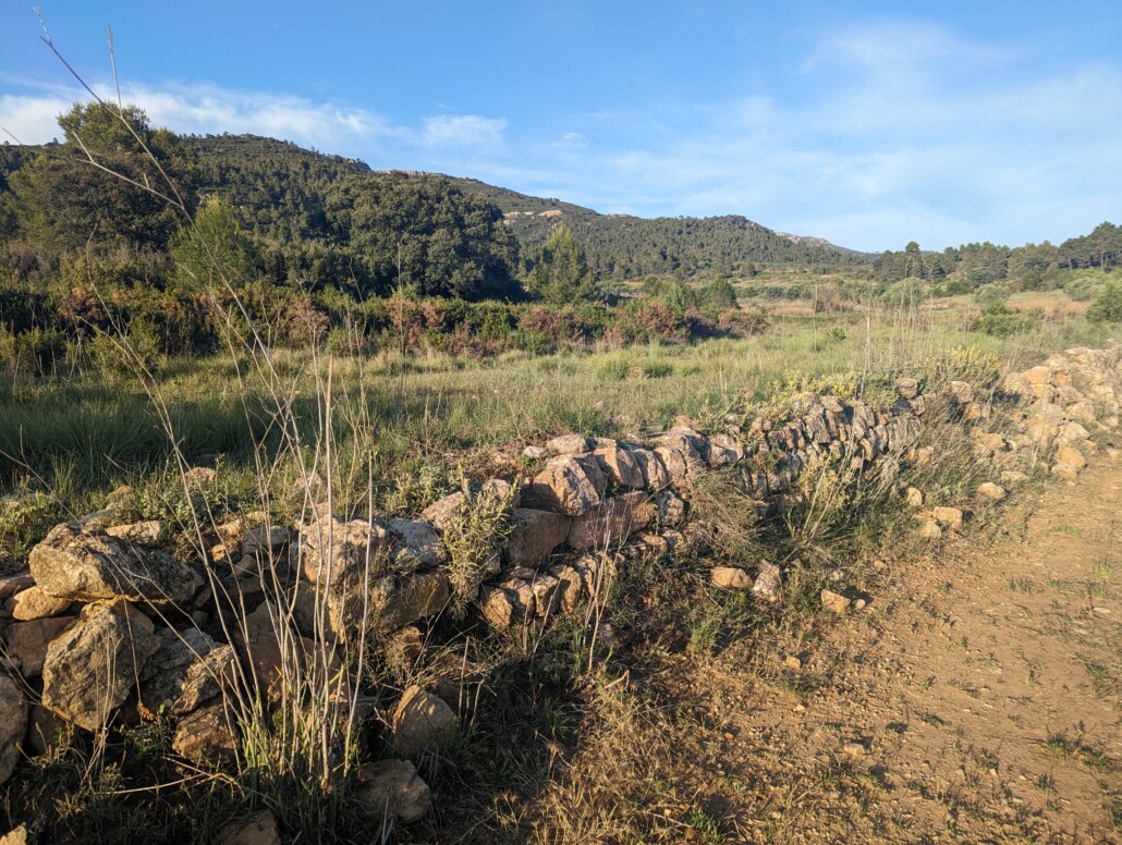 Dieses Bild hat ein leeres Alt-Attribut. Der Dateiname ist PXL_20230604_181107125-1030x776.jpg