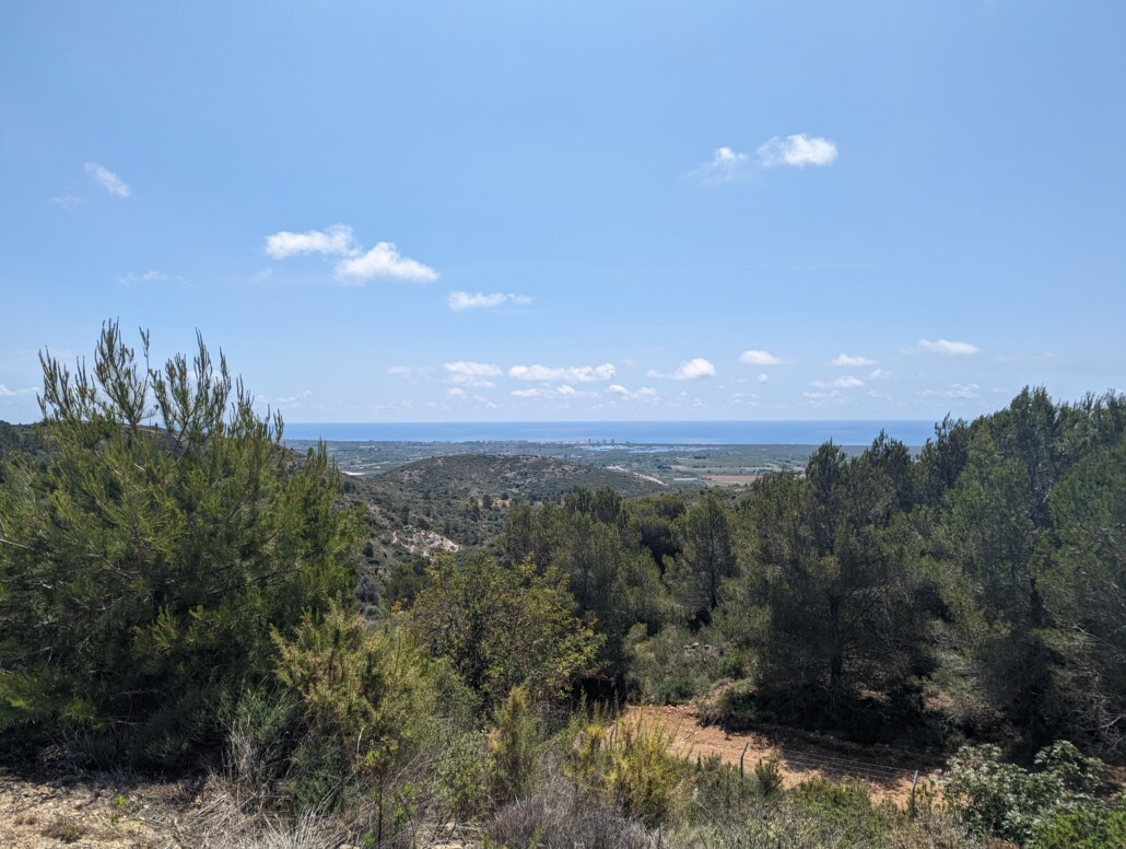 Dieses Bild hat ein leeres Alt-Attribut. Der Dateiname ist PXL_20230606_102717156-1030x776.jpg