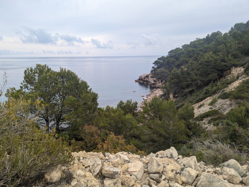 Dieses Bild hat ein leeres Alt-Attribut. Der Dateiname ist PXL_20230607_093034186-1030x776.jpg