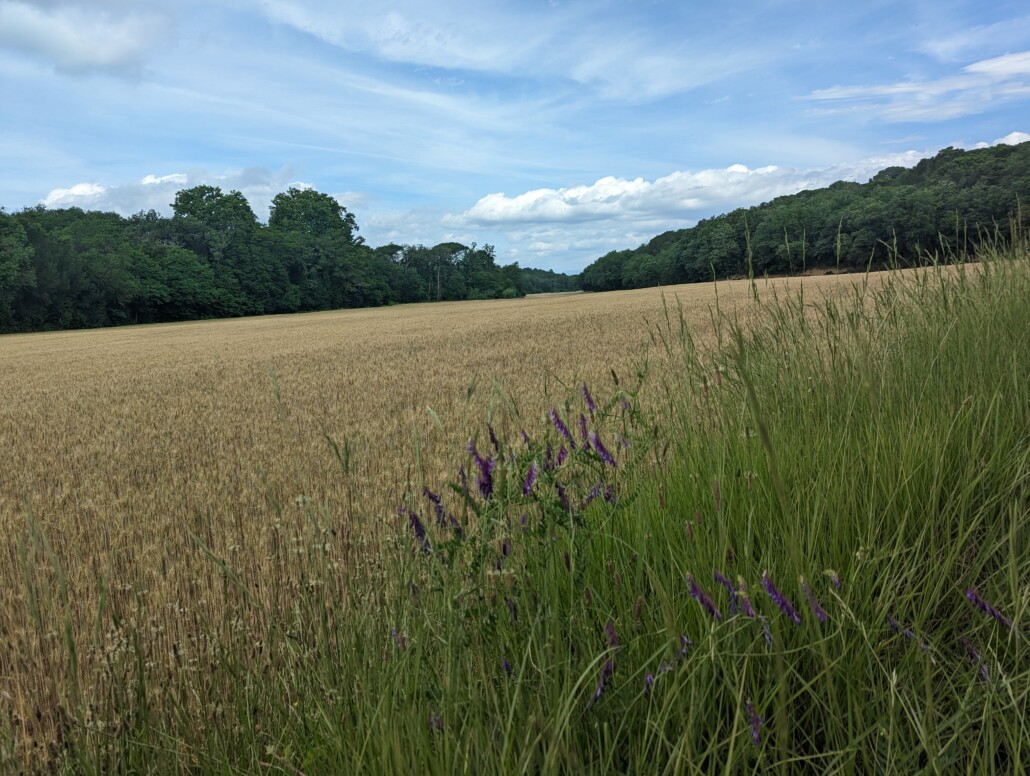 Dieses Bild hat ein leeres Alt-Attribut. Der Dateiname ist PXL_20230609_095500199-1030x776.jpg